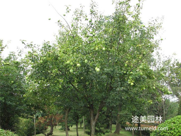 http://www.lxxm101055.cn/ch/30.html