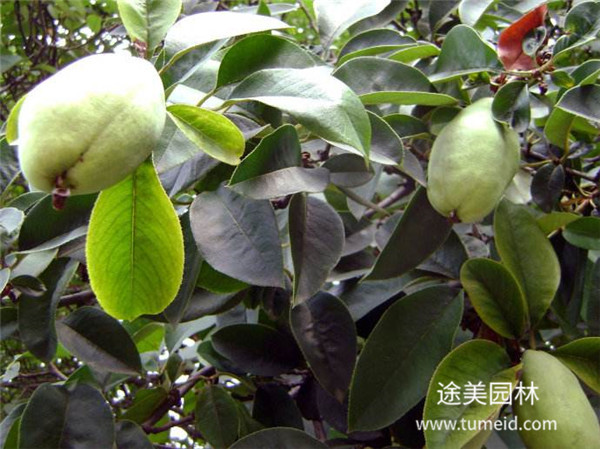 http://www.lxxm101055.cn/ch/30.html