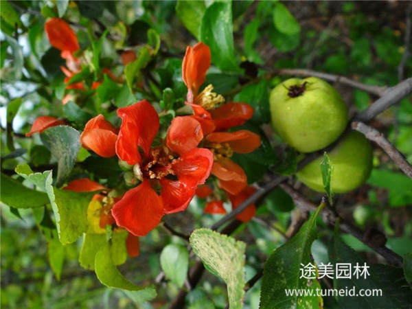 http://www.lxxm101055.cn/ch/30.html